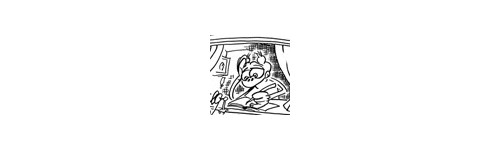 SCHWEINEVOGEL COMICS