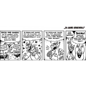 Nr. 020 Grabenfall