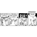 Nr. 051 Vertrauensfrage