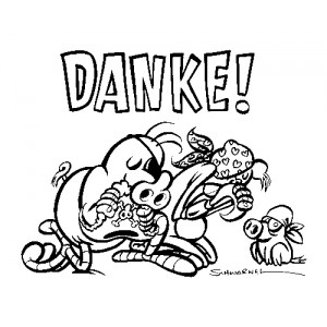 Schweinevogel Schnitzeljagd 2008