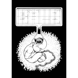 Bald Cover